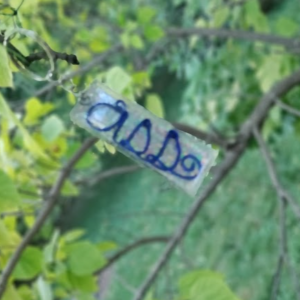 Adult language keychain