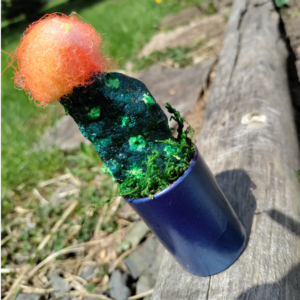 Moon cactus - easy care craft cactus